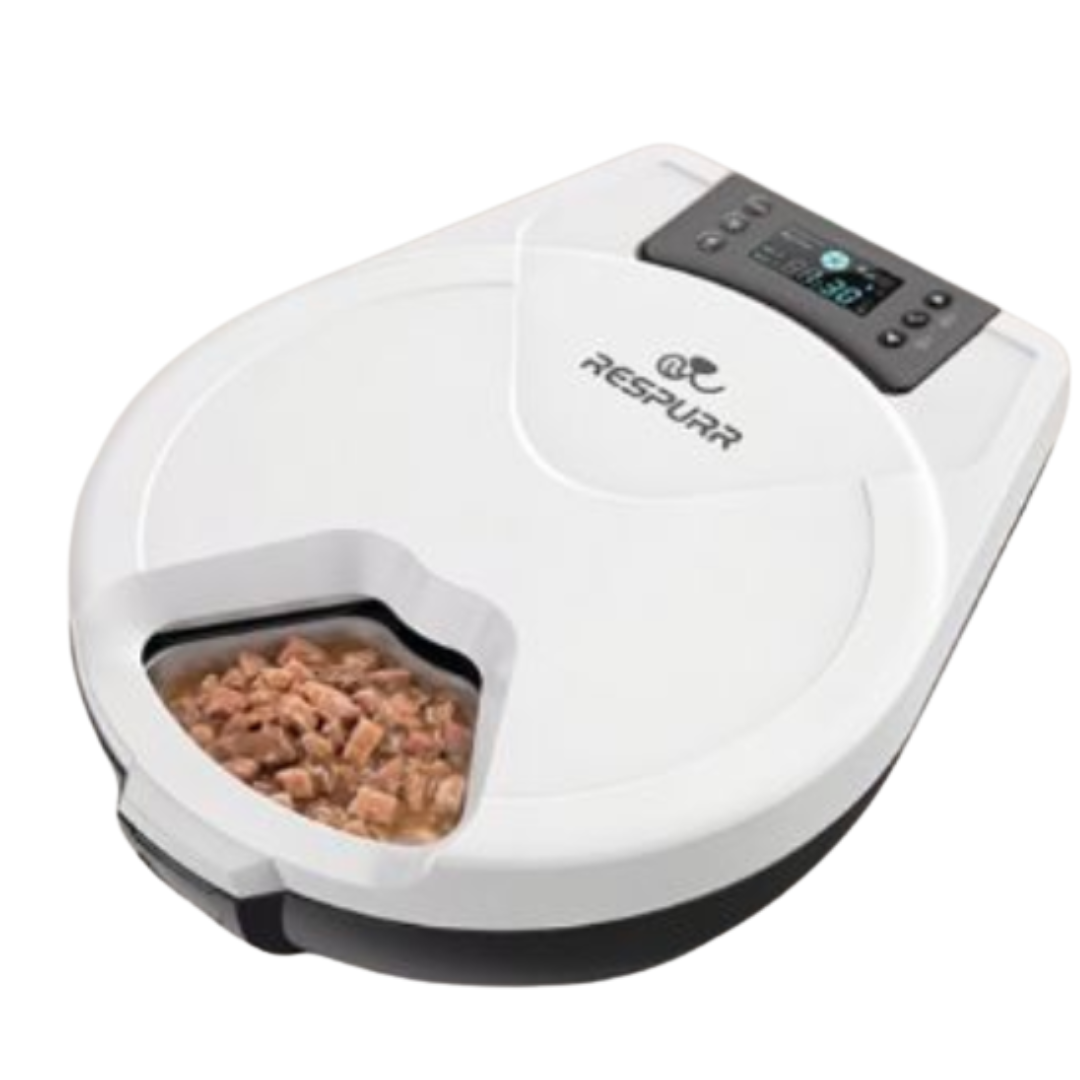 Close-up of an automatic cat feeder with stainless steel food compartments, digital controls, and fresh meals prepared for Maine Coon cats.