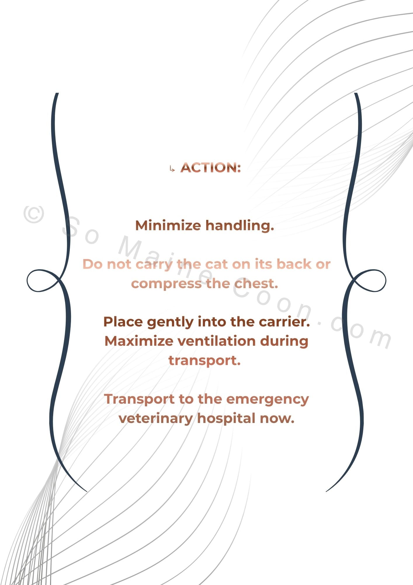BORN MAJESTIC : THE MEDICAL COMPANION GUIDE