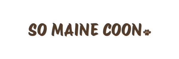 So Maine Coon