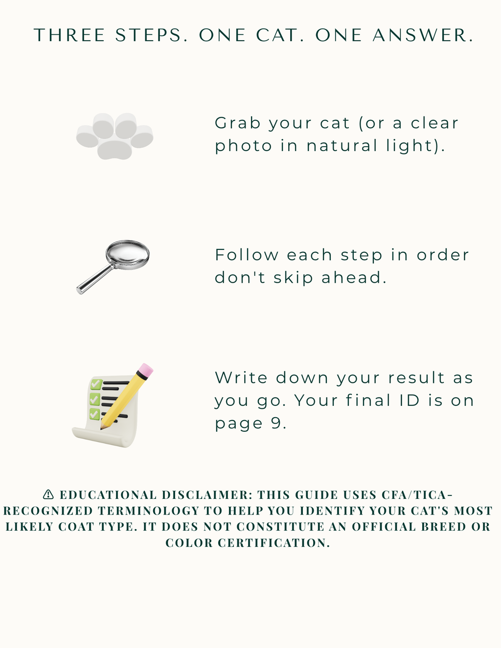 What Color Is My Maine Coon? — The Ultimate Coat Identification Guide | Instant Download