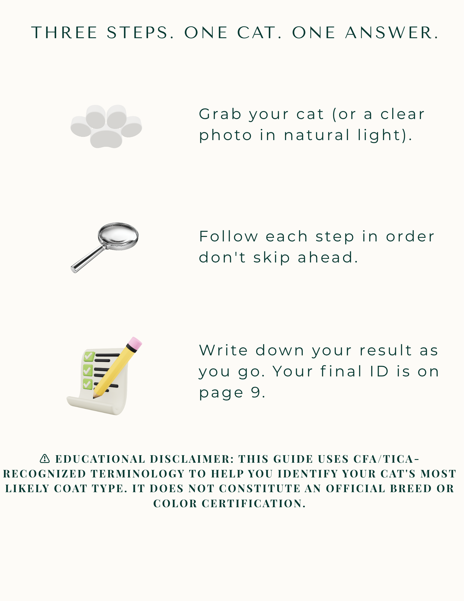 What Color Is My Maine Coon? — The Ultimate Coat Identification Guide | Instant Download