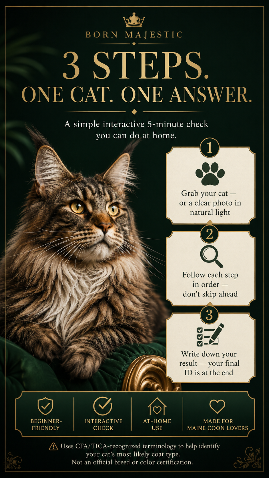 BORN MAJESTIC - THE COLOR GUIDE