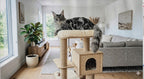 Custom Diamond Painting Kit | Personalized Maine Coon Art