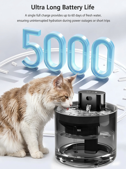 PurrSpring™ | Wireless Cat Fountain for Maine Coon & Large Cats