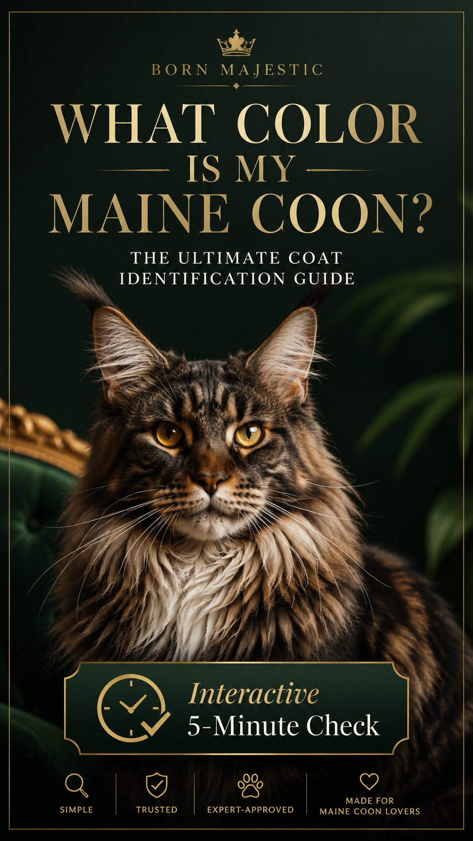 Maine Coon color identification guide ebook — what color is my Maine Coon