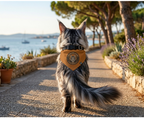 So Maine Coon Cat Bandana — Born Majestic | Maine Coon Accessory | Clip-On