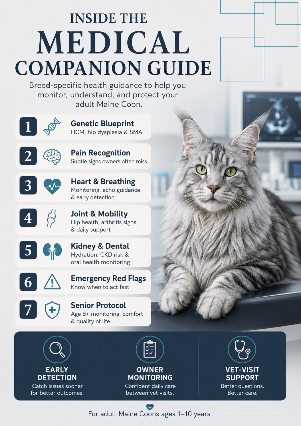 BORN MAJESTIC - THE MEDICAL GUIDE